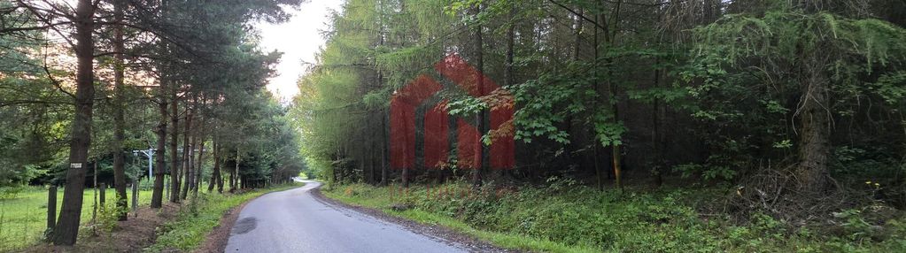 Las 85ar przy stoku narciarski, pomysł na glamping