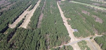 Las i rola 5, 6  - 2,5 ha