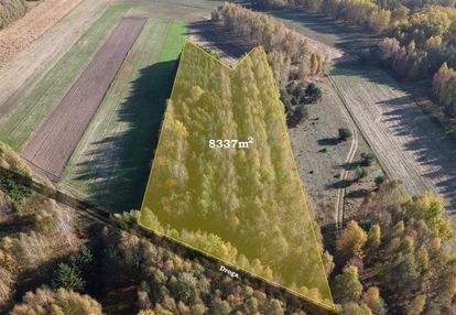 Duża działka leśna w atrakcyjnej lokalizacji