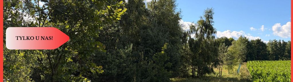 Tylko u nas! działka-cisza, natura i potencjał!