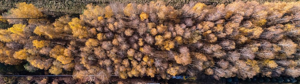 Działka budowlana w kaleń towarzystwo