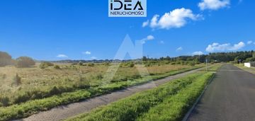 W pełni uzbrojona, 50m mzk, las!