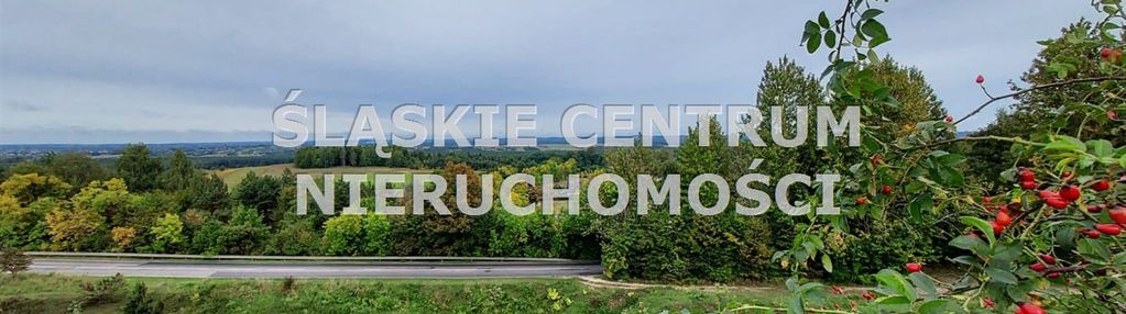 Piękna działka budowlane jura rokitno szlacheckie