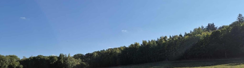 Powyżej 5 ha pod budownictwo jednorodzinne.