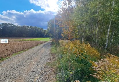 Nowa niższa cena! działka w otoczeniu lasu!