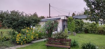 Piękna działka ROD z domkiem Aleksandrów KujawskI