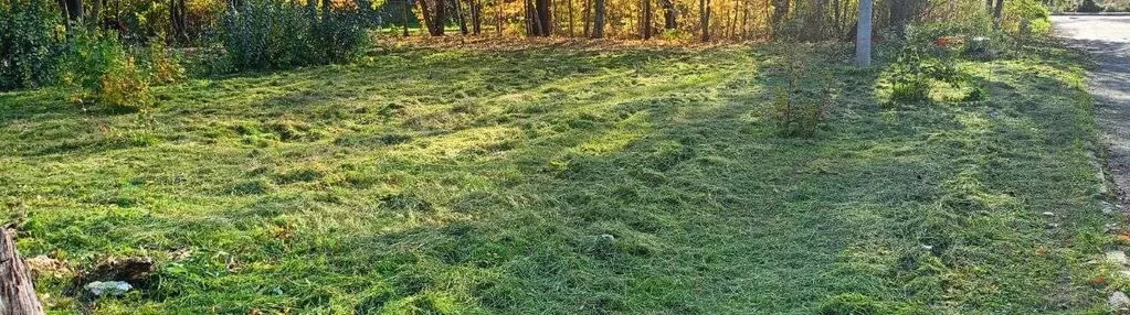 Działki budowlane z potencjałem w centrum Zabrza