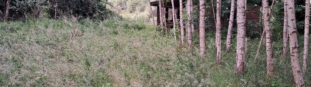 Działka na sprzedaż w miałach gmina wieleń