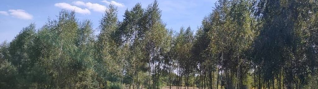 Działka budowlana – teodorów, gm. skórzec