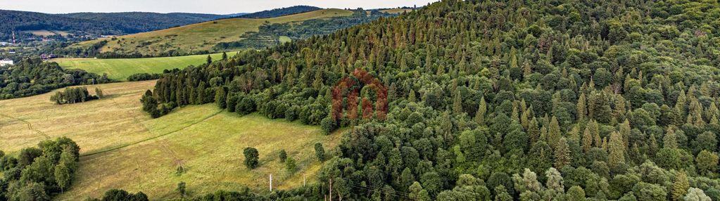 Grunt inwestycyjny położony w sercu bieszczad|31ha