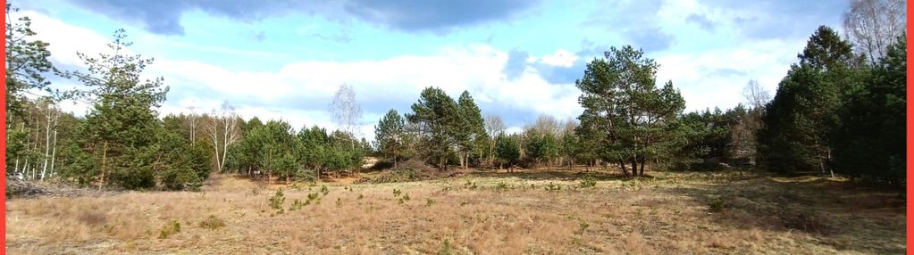 Tylko u nas! działka-cisza, natura i potencjał!