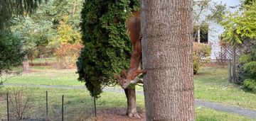 Działka z domem do rozbudowy konstancin - jeziorna