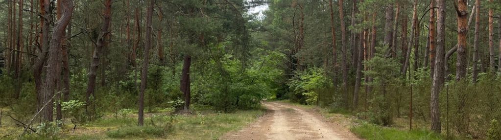 Wyjątkowa działka nad narwią i bugiem