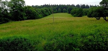 Duża działka w walimiu