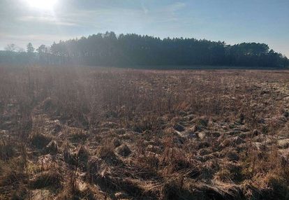 Działki budowlane na sprzedaż/tarnów, gm. lubiszyn