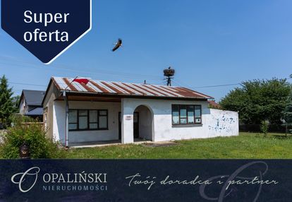 Działka 4,69 ar z projektem na dom | media