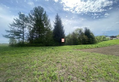 Działka z potencjałem – prałkowce (gm. krasiczyn)