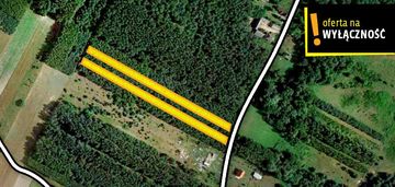 2 działki leśne o powierzchni 4000m2