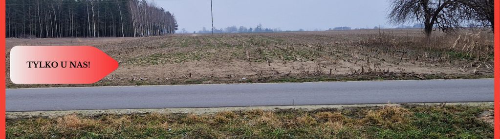 Działka budowlana blisko dużego lasu