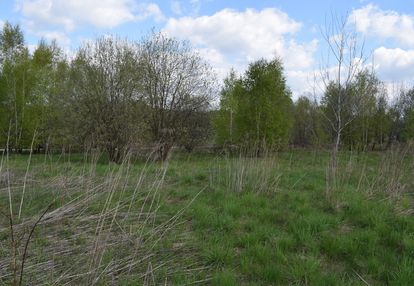 Działka rolno-budowlana 28a, chmielnik
