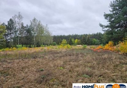 Działka 2457 m² położona przy lesie, media.