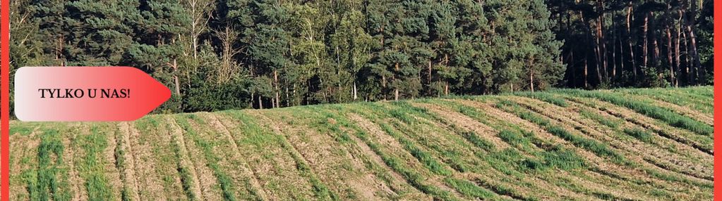Działka budowlana z linią brzegową jeziora