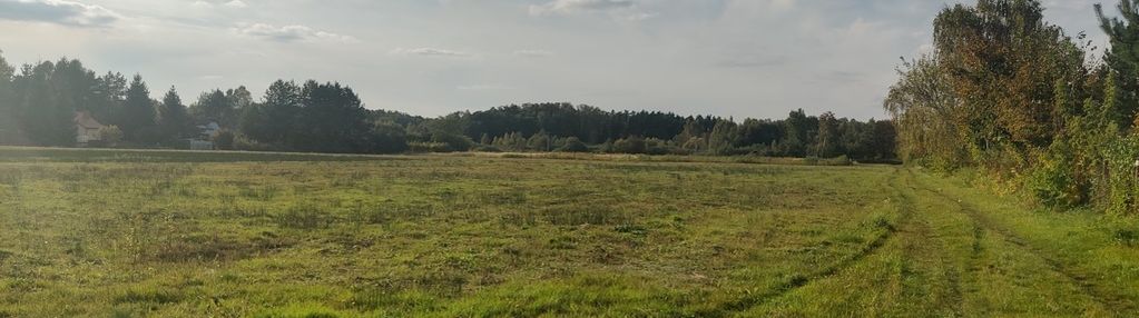 Działka rekreacyjna pod lasem w nowym prażmowie