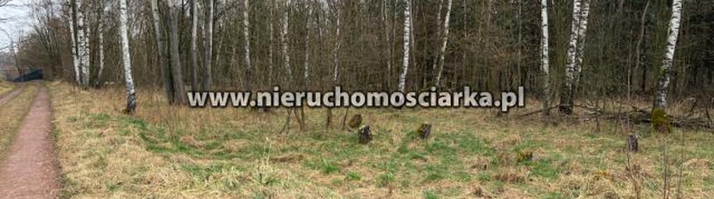 Działka budowlano-zielono-leśna wodzisław - zawada
