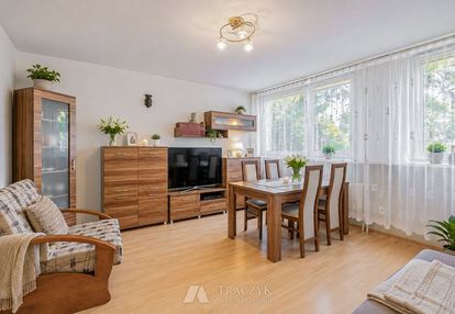 Centrum|rozkład|gotowe|dwie piwnice