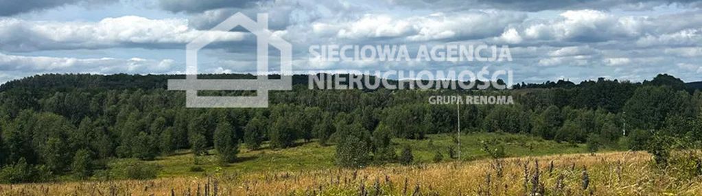 Atrakcyjna działka z wz, 2913 m2, trzepowo