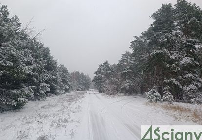 Cicha, piękna działka w falenicy