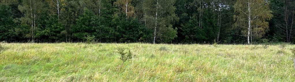 Kolonia maruny - działki do sprzedaży!