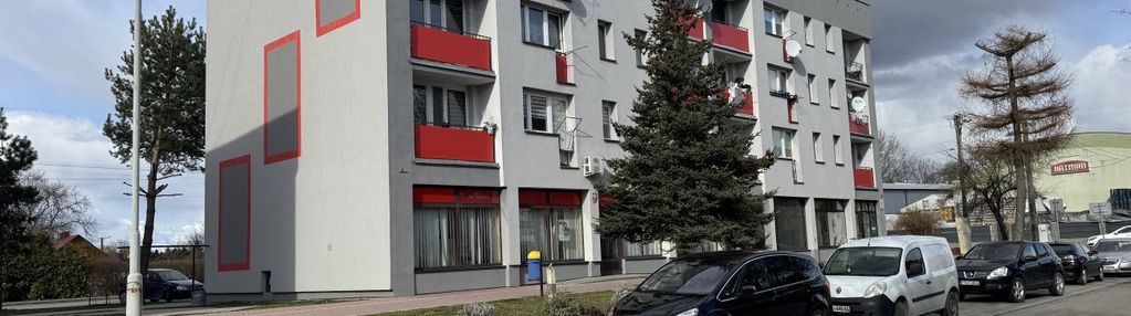 Kawalerka z niedomicach