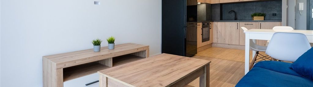 Nowoczesne mieszkanie do wynajęcia - zagórze