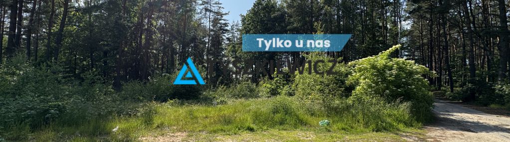 Działka mieszkaniowa z własnym lasem chwaszczyno