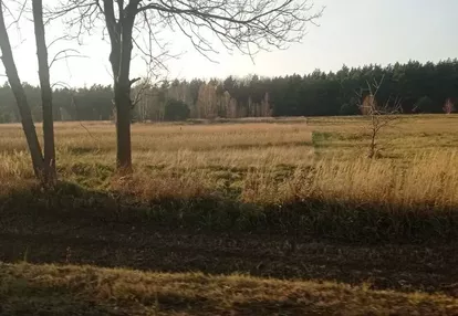 Działka na sprzedaż 4841m2