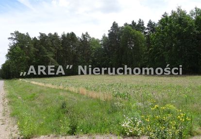 Bliskość lasu, pięknie położona,możliwość zabudowy