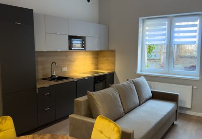 Duże mieszkanie przy starym rynku