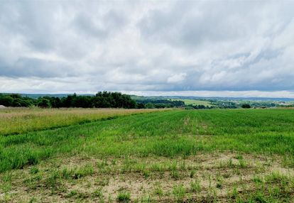 Widokowa unikalna działka, możliwość podziału i wz