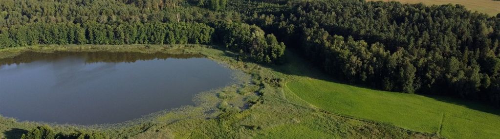 Działka z linią brzegową bolejny, k. nidzicy