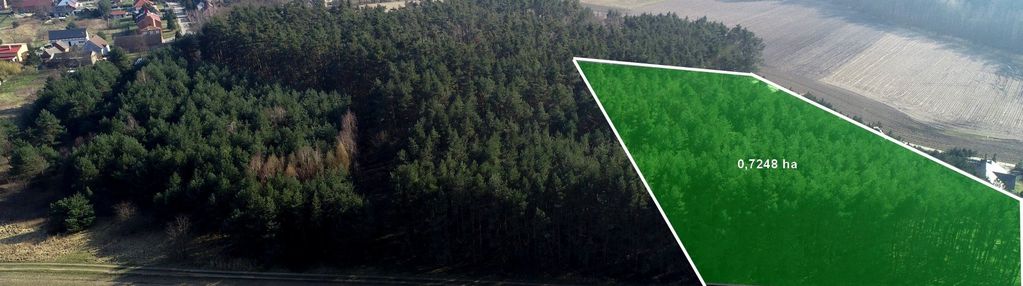Działka budowlana z lasem dla inwestora