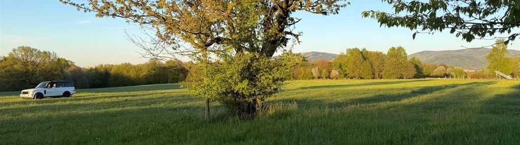 Widokowa, słoneczna działka przy ul. jeżynowej