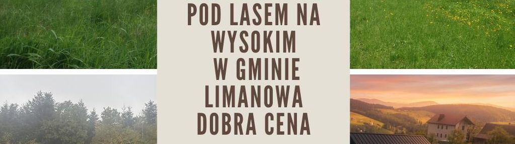 Wysokie gmina limanowa działka widokowa pod lasem – beskid wyspowy, 17,61 ara