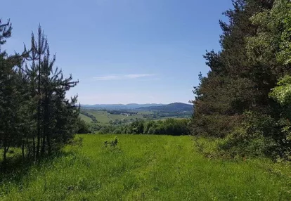 Bieszczady k. Komańczy 3044 m2