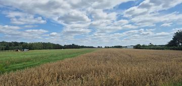 Działka rolno-budowlana / duża działka