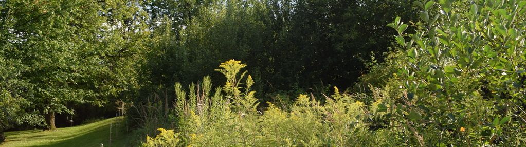 Działka rolna 27a - hermanowa