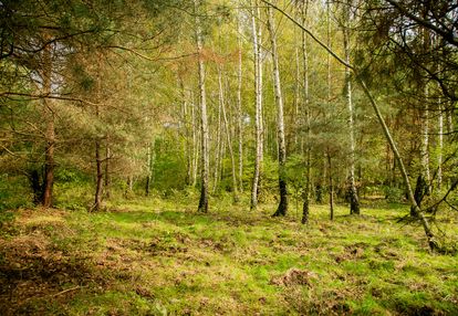 Działka rolno-budowlana biadoliny rdłowskie!