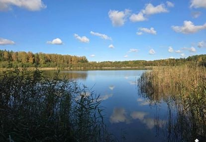 Działka na terenie pojezierza mazurskiego.