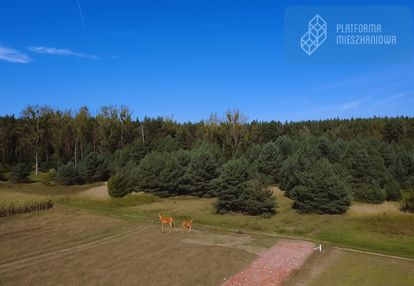Działki budowlane|jelcz laskowice|media|droga