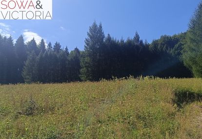 Działka w michałkowej